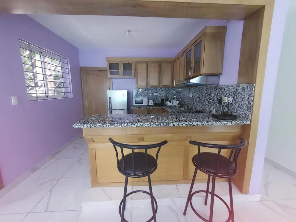 Apartment Apartamento Amueblado Res Blue Amber N2 Santiago De Los Caballeros Dominican Republic
